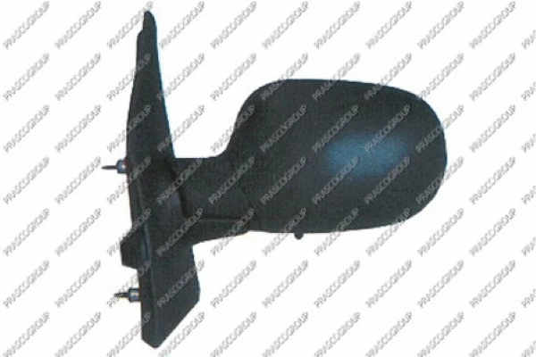 Exterior Mirror (RN0307314)