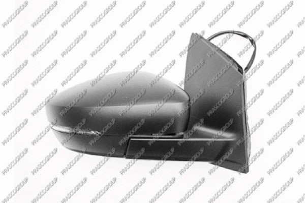 Exterior Mirror (VG0237135P)