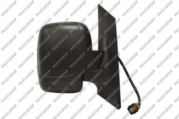 Exterior Mirror (FT9237033)