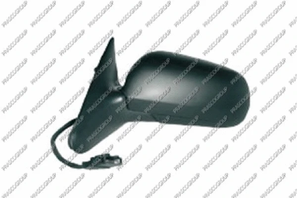 Exterior Mirror (SK0207314)