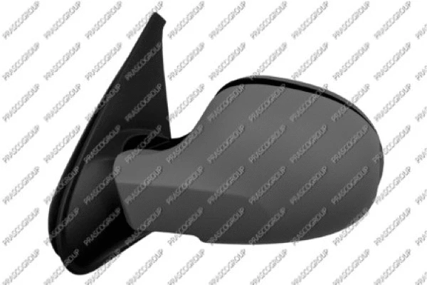 Exterior Mirror (RN3267324)