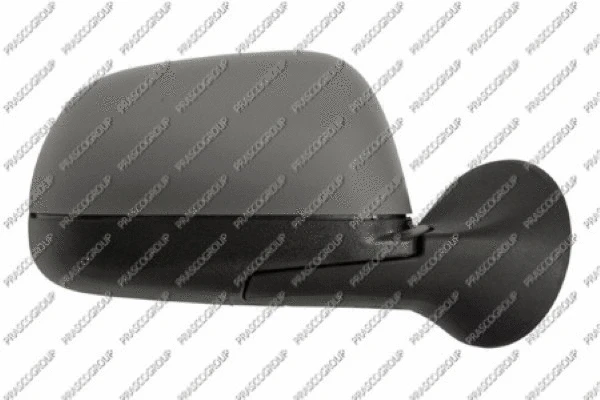 Exterior Mirror (DA8207013)