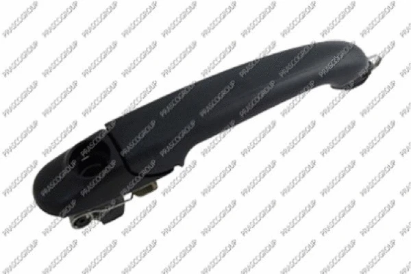 Exterior Door Handle (VG0168011)