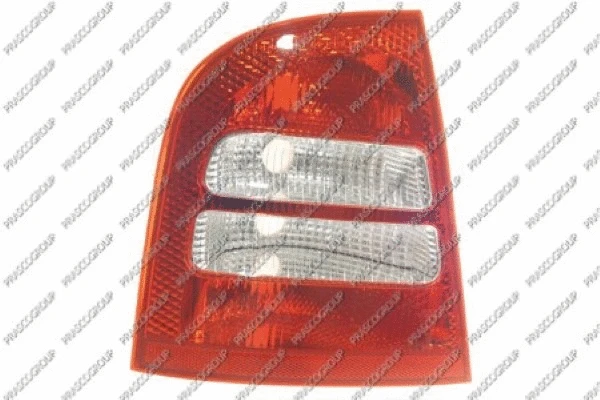 Tail Light Assembly (SK0224154)