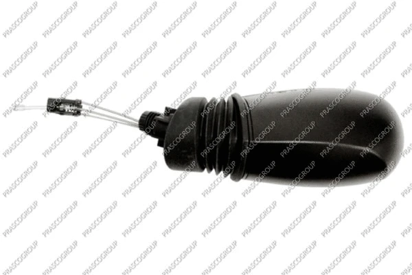 Exterior Mirror (FT1337113)