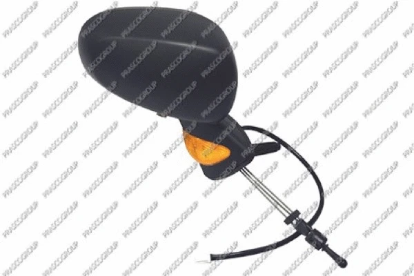 Exterior Mirror (RN3087113P)