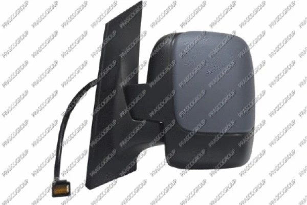 Exterior Mirror (FT9237094)