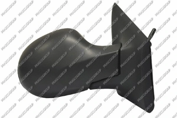 Exterior Mirror (RN3067113P)