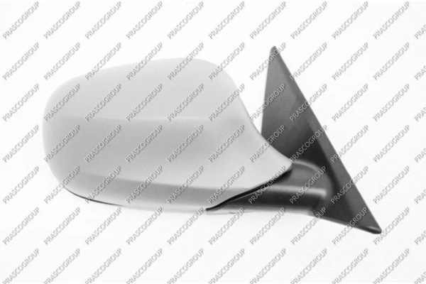 Exterior Mirror (BM0267313)