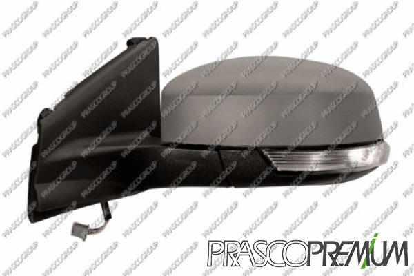 Exterior Mirror (FD1127304P)