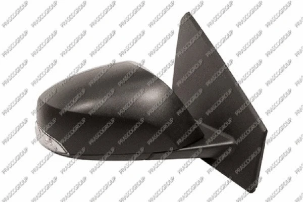 Exterior Mirror (RN4247333P)