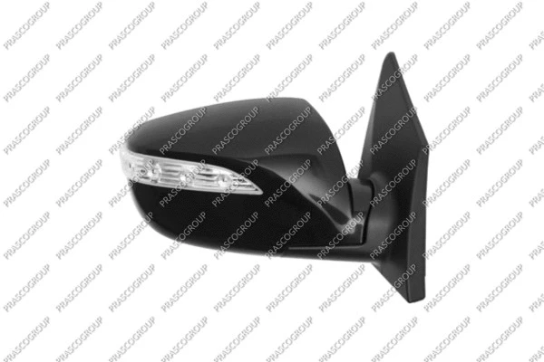 Exterior Mirror (HN8057333)