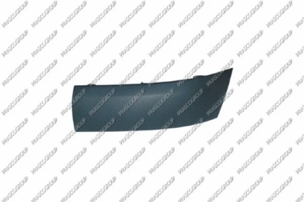 Trim/Protection Strip, bumper (RN3221244)