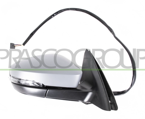 Exterior Mirror (SK0307323)