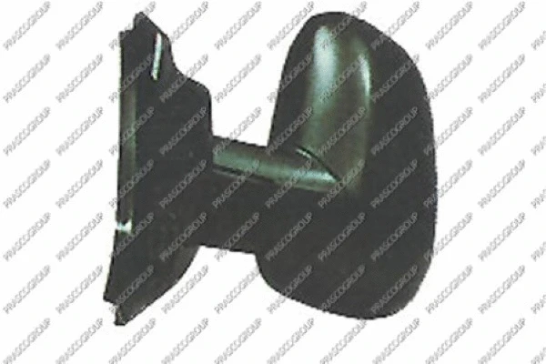 Exterior Mirror (FD9087004)