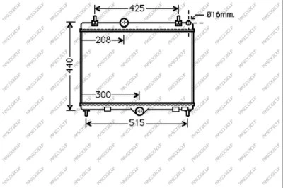 Radiator, engine cooling (CI525R001)