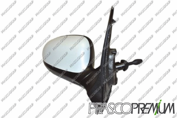 Exterior Mirror (FD0087123P)
