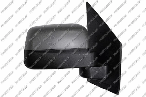 Exterior Mirror (FD9347313)