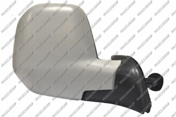 Exterior Mirror (CI9187123)