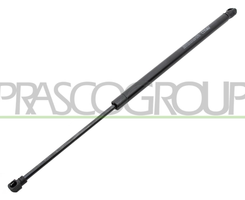 Gas Spring, boot/cargo area (VG4009055)