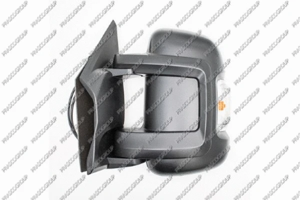 Exterior Mirror (FT9307008)