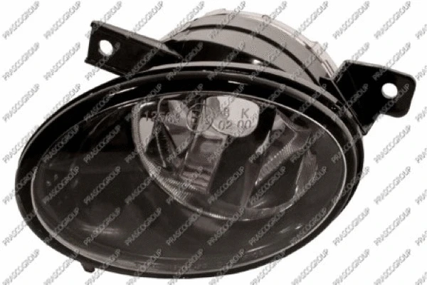 Front Fog Light (VG9194414)