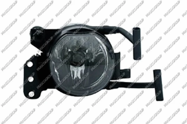 Front Fog Light (BM0224416)