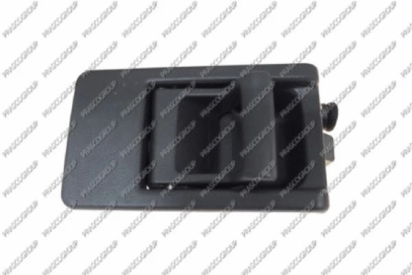 Door Handle, interior equipment (FT9208502)