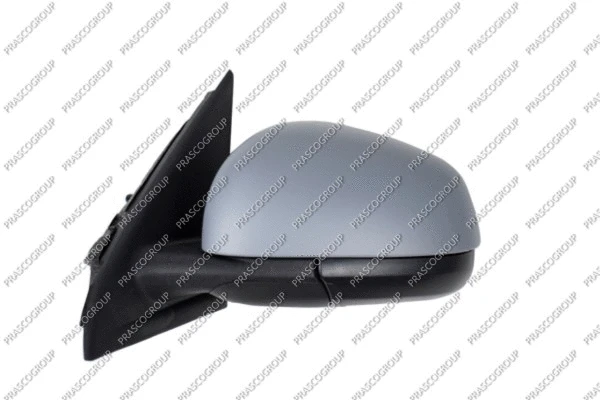 Exterior Mirror (RN2027014)