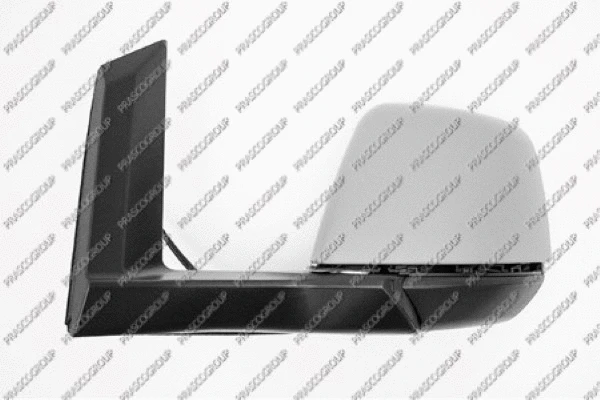 Exterior Mirror (FD9367214)