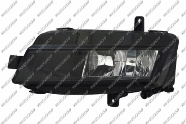 Front Fog Light (VG4004414)
