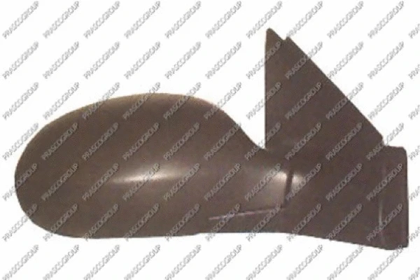 Exterior Mirror (CI5207313)