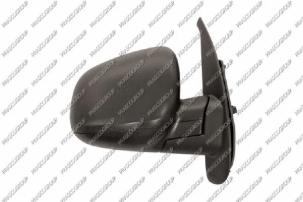 Exterior Mirror (RN9217303)