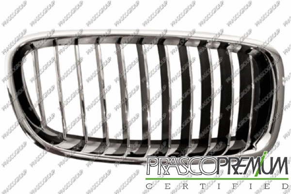 Radiator Grille (BM0282013)