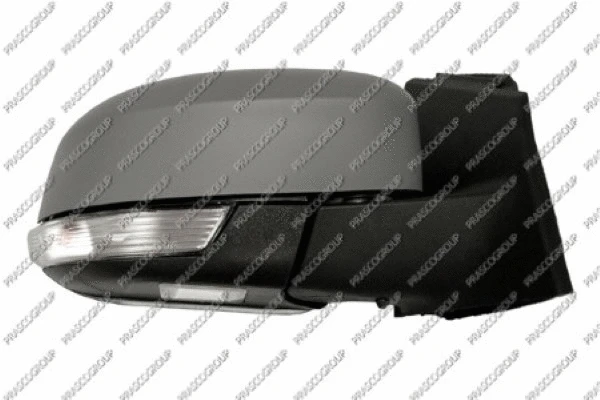 Exterior Mirror (FD4287333)