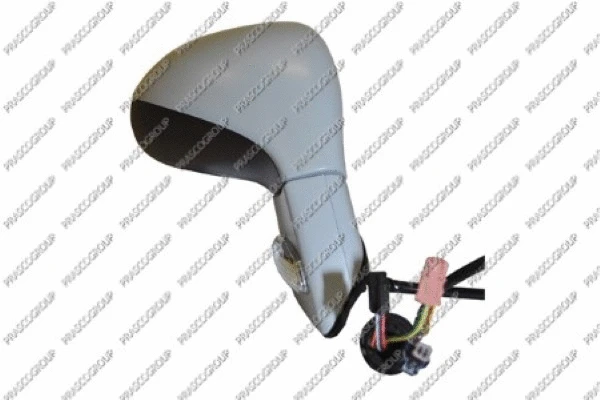 Exterior Mirror (PG4247323)