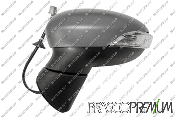 Exterior Mirror (FD3467324P)