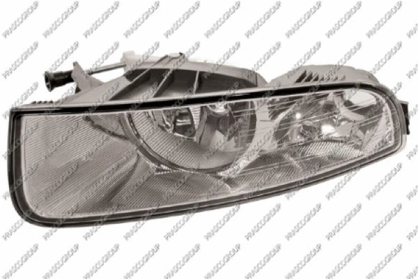 Front Fog Light (SK4204424)