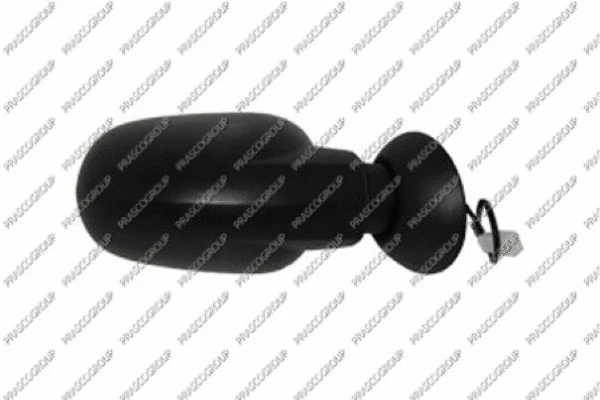 Exterior Mirror (DA3207303)