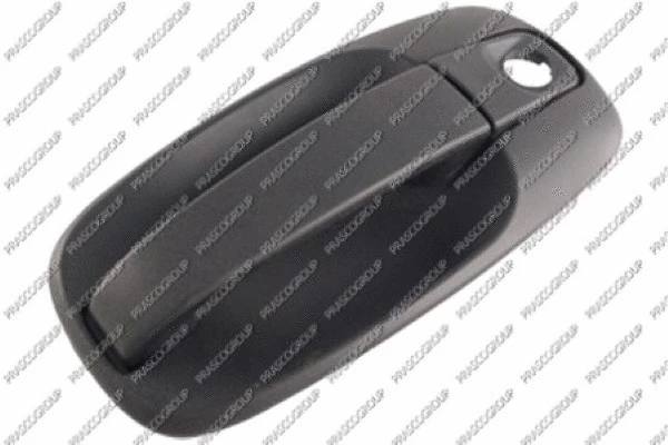 Exterior Door Handle (OP9328002)