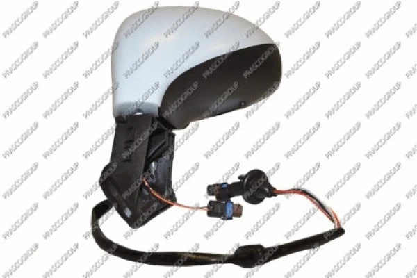 Exterior Mirror (PG4247314)