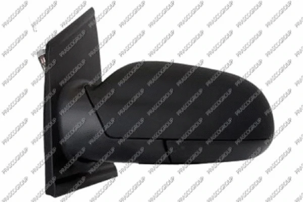 Exterior Mirror (VG3307304)