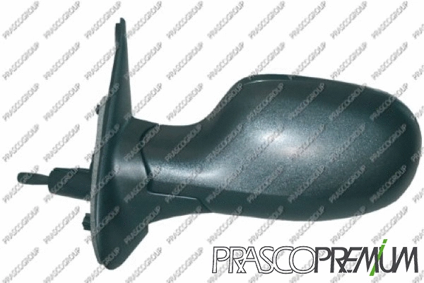 Exterior Mirror (DS0117114P)