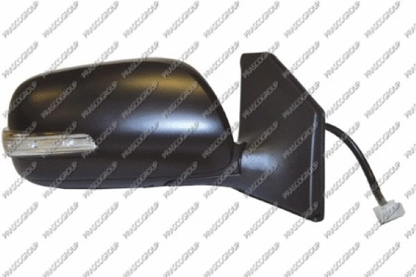 Exterior Mirror (TY2447373)