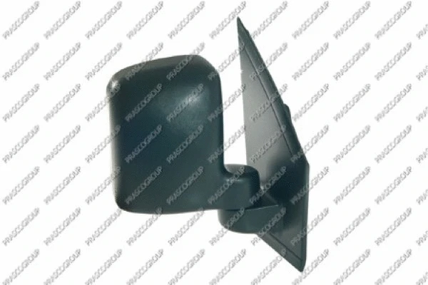 Exterior Mirror (FD9307303)