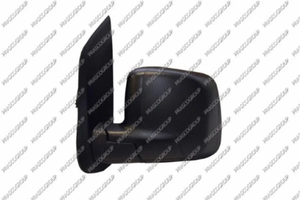 Exterior Mirror (FT9077314)