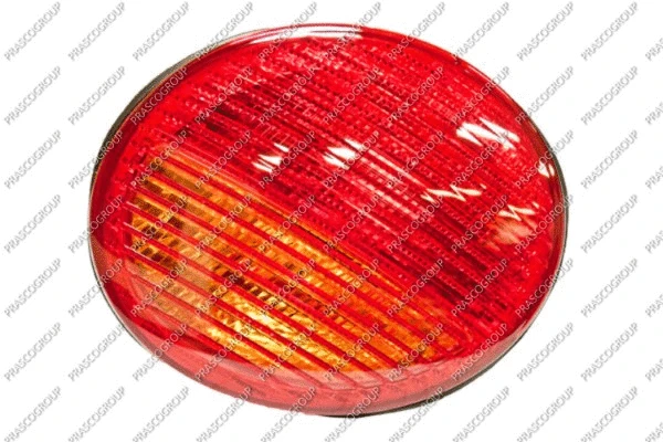 Tail Light Assembly (VG4204163)