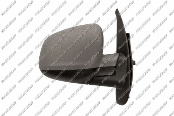 Exterior Mirror (RN9217313)