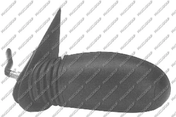 Exterior Mirror (FT0197104)