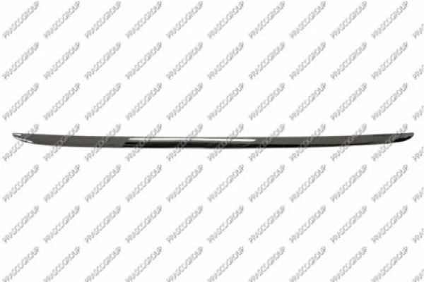 Trim/Protection Strip, bumper (RN3291265)